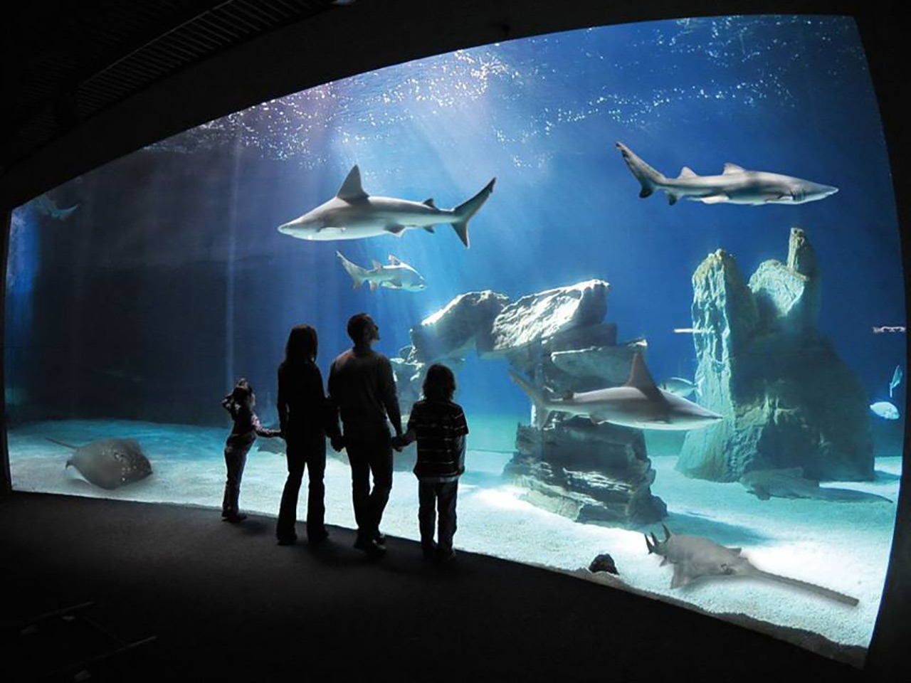 Risparmiare in camper: Acquario di Genova