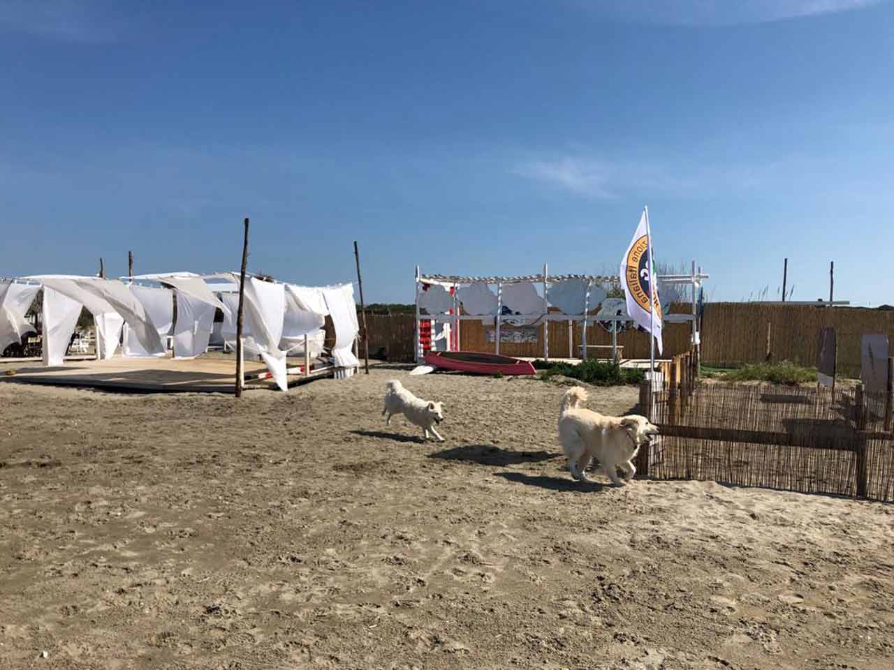 Gli sconti per le dog beach: il Baubeach Village