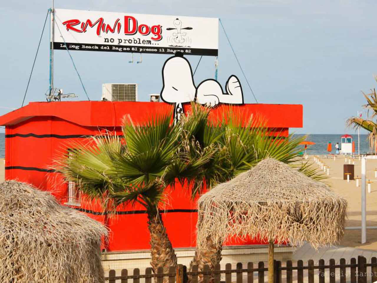 Gli sconti per le dog beach: Rimini Dog No Problem