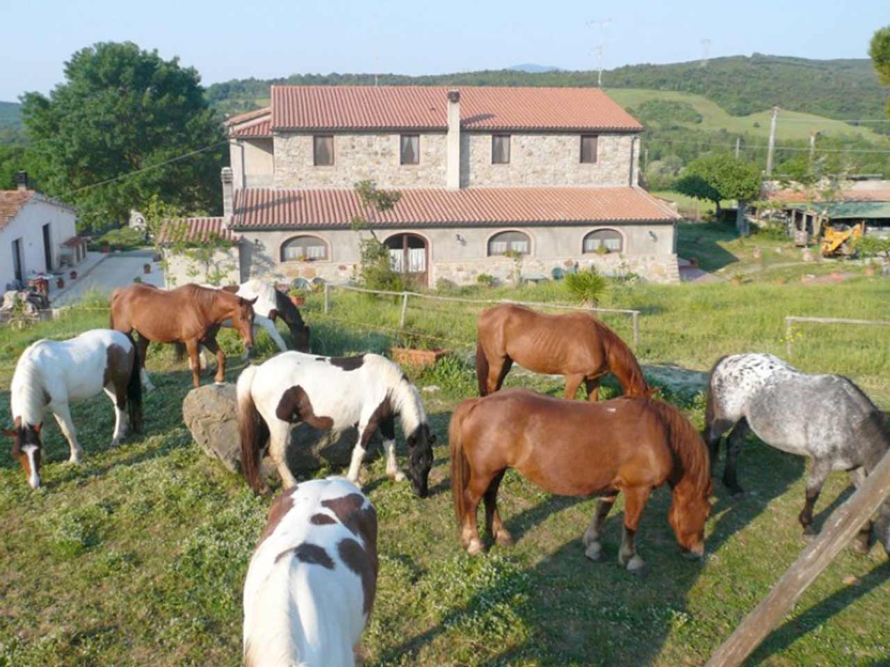 Tenuta Sant'Agnese