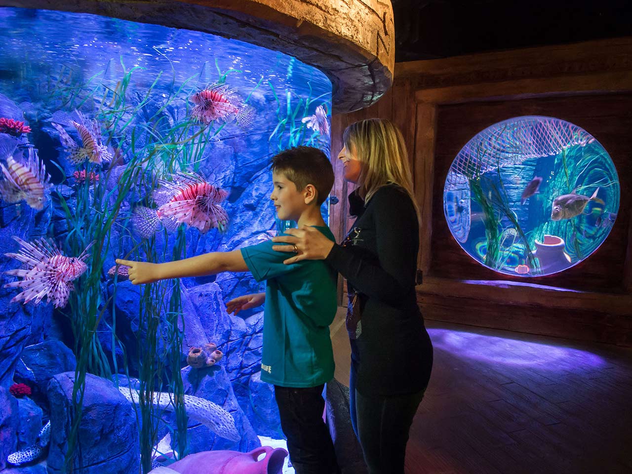 Parchi divertimento e tematici convenzionati con lo sconto Club: il Gardaland Sea Life Aquarium