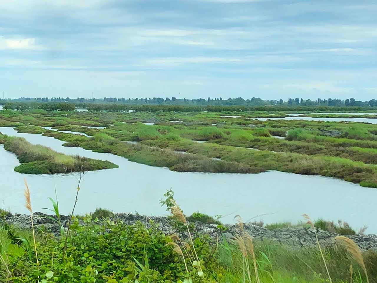 Giornata Mondiale delle zone umide: la Via delle Valli nel Parco Naturale Regionale Veneto del Delta del Po.
