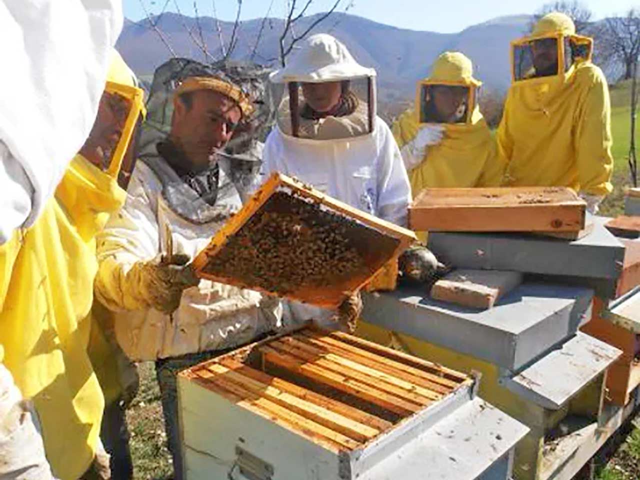 Cooperativa Apicoltori Montani - 10 agriturismi imperdibili nelle Marche