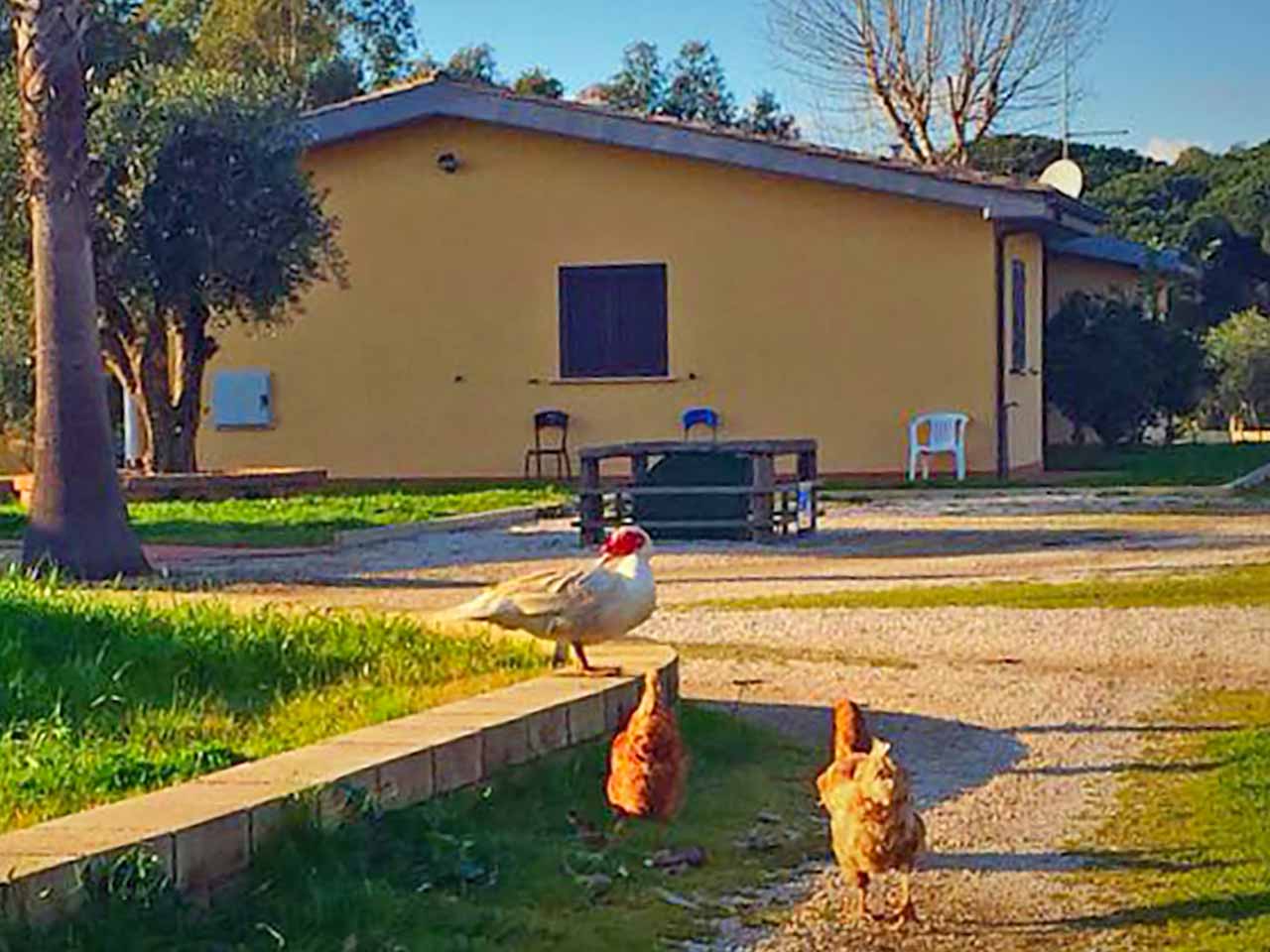 Azienda Agricola Valle Maggio - Top 10 agriturismi nel Lazio