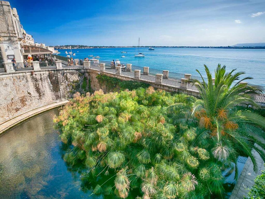 La Fontana di Aretusa a Siracusa.