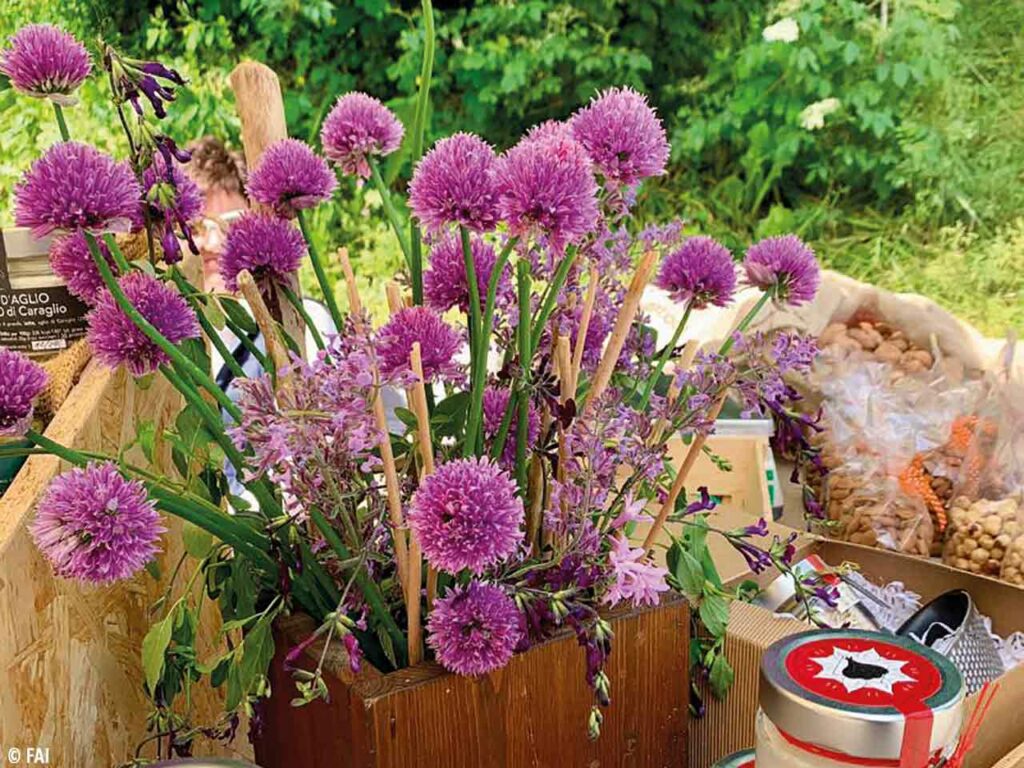 Gli eventi di aprile per i camperisti: escursioni Herbarium a Torba con il FAI.