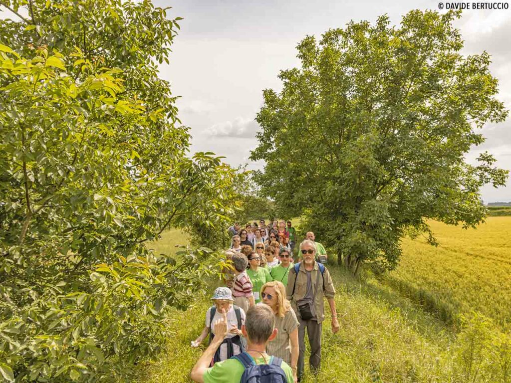 Un evento del BorghilentiFestival a Castelnuovo Bocca d'Adda.