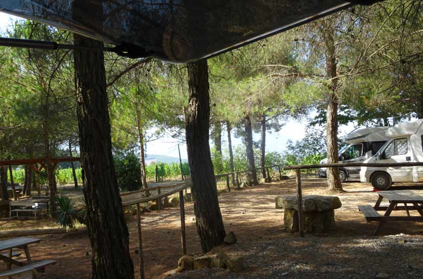 Gli agriturismi lungo la Via Francigena: il Podere il Cocco a Montalcino.