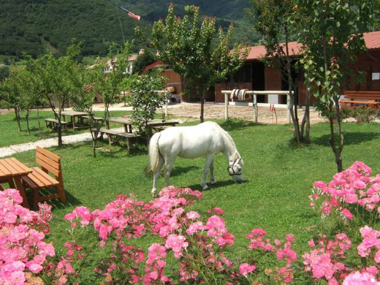Primavera del Prosecco Superiore con lo sconto del Club: l'Agriturismo La Dolza