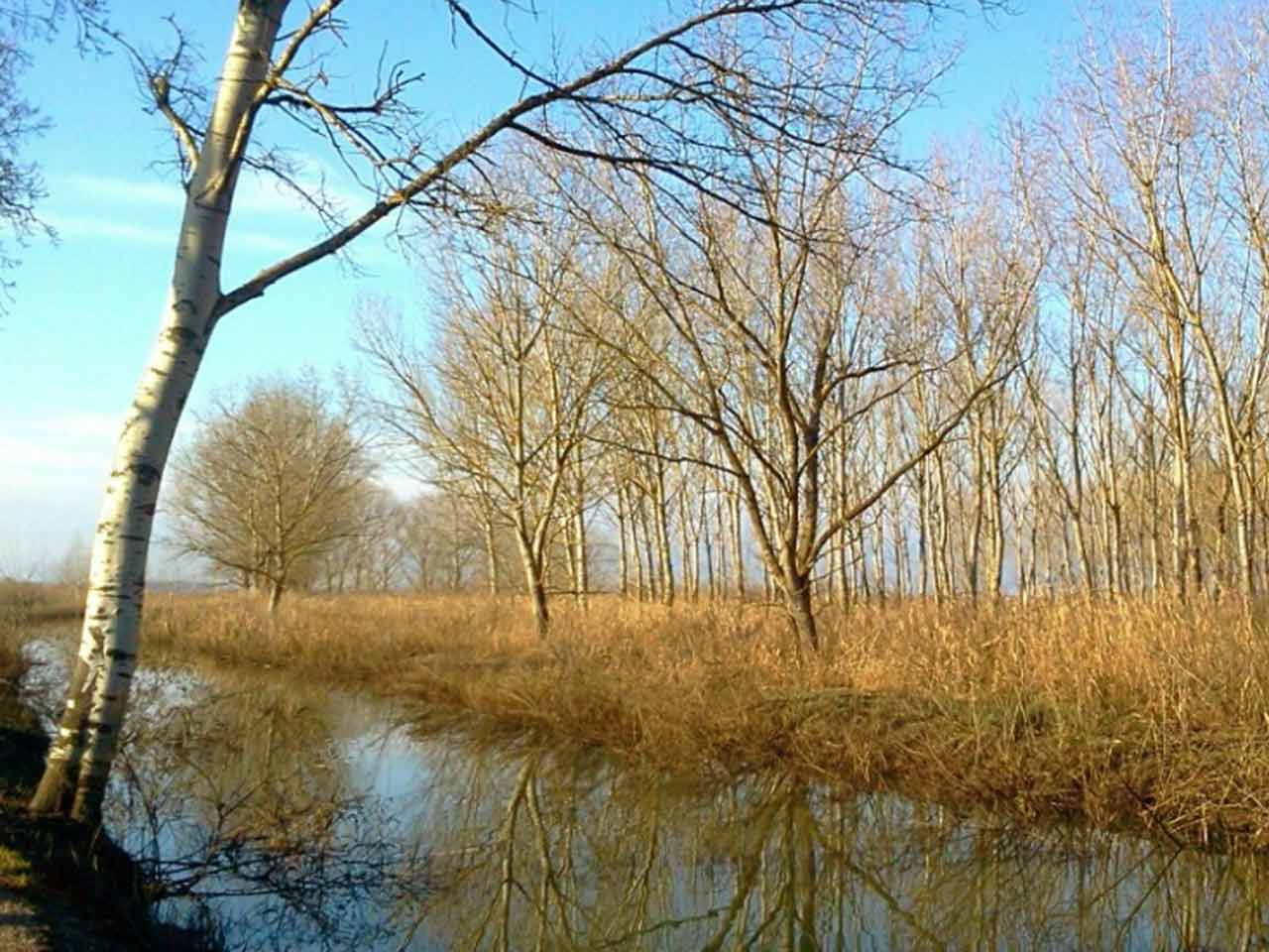 Parchi naturali e giardini da visitare con la tessera del Club: la Riserva Naturale Padule di Fucecchio