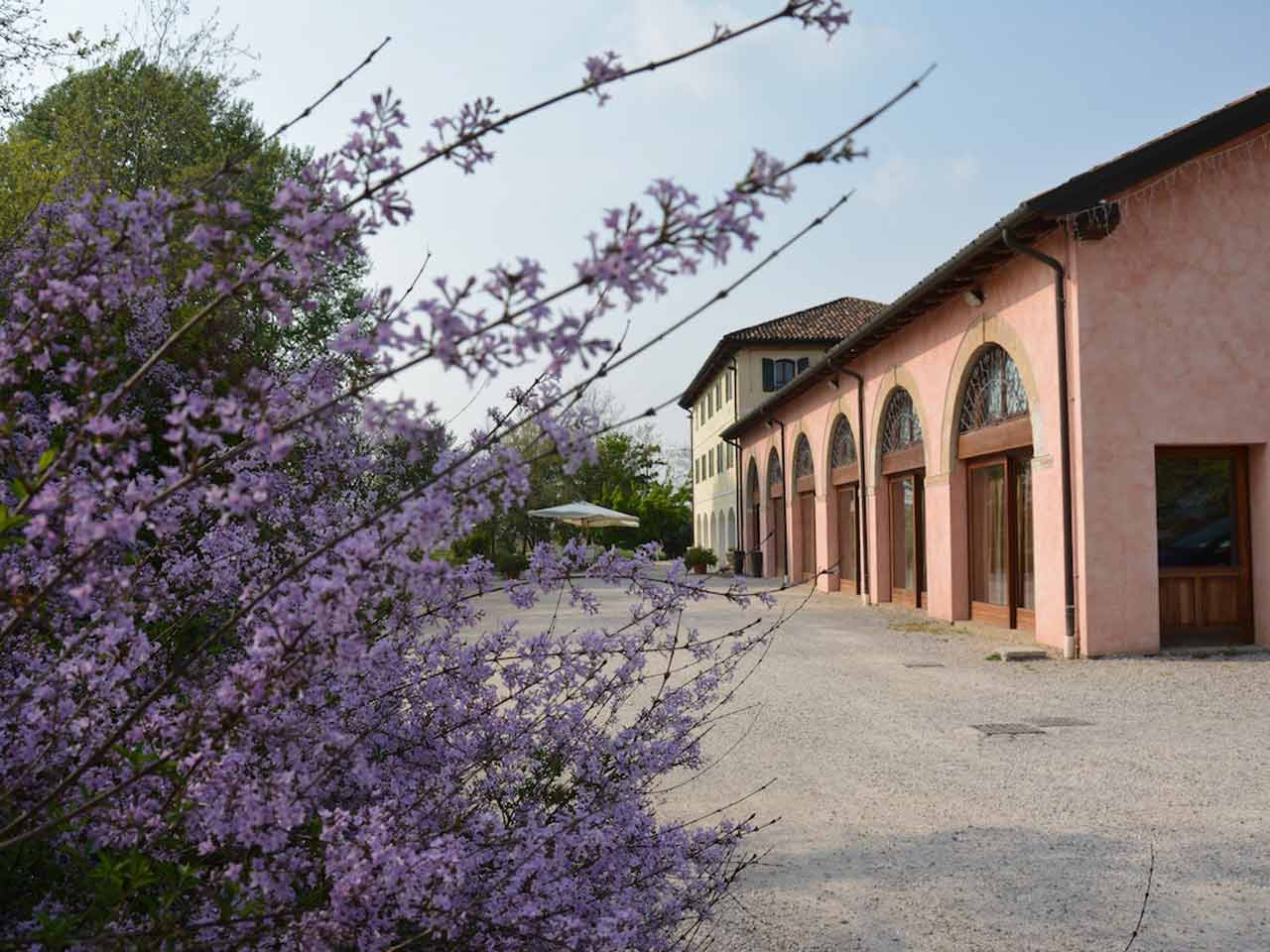 La Cantina Rechsteiner.