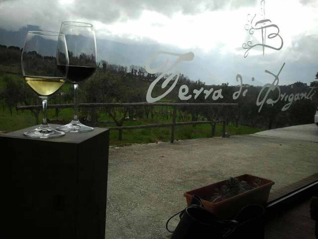Azienda agricola terra di briganti