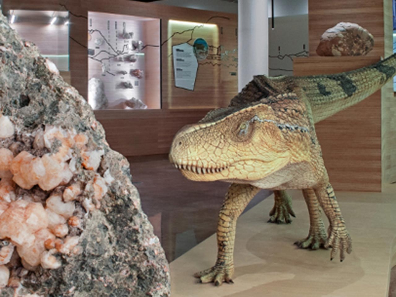 Gli sconti nei laboratori per bambini: il Museo Geologico delle Dolomiti a Predazzo (TN).