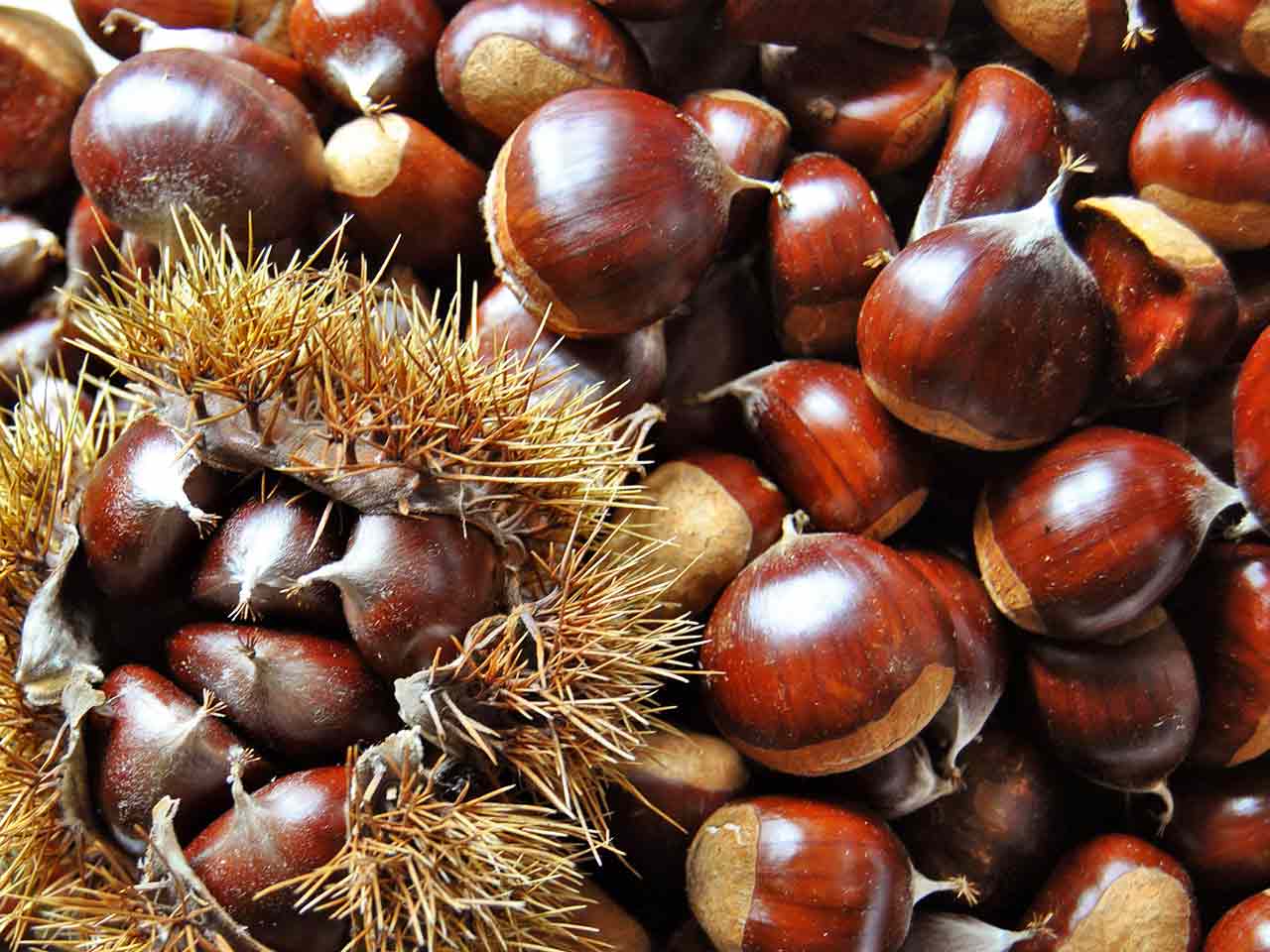 5 buone ragioni per mangiare castagne: contengono fibra