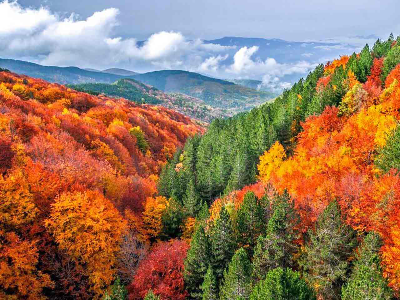 Parco Nazionale della Majella - Dove vedere il foliage