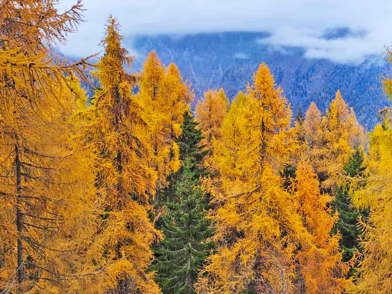 Val di Non - Dove vedere il foliage