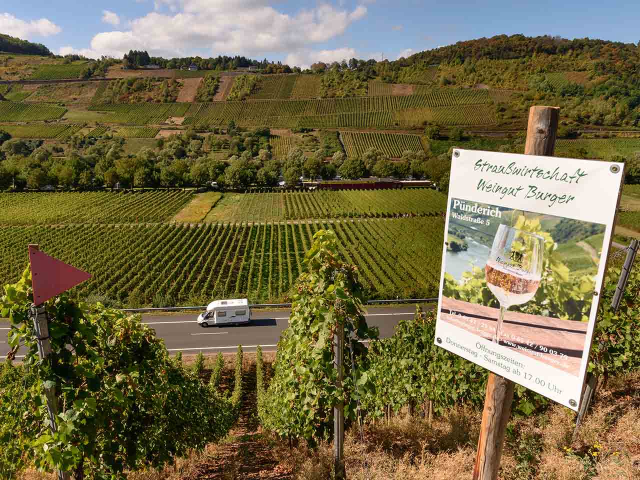 I vigneti tra Punderich e Bullay - Germania in Camper lungo la Mosella.