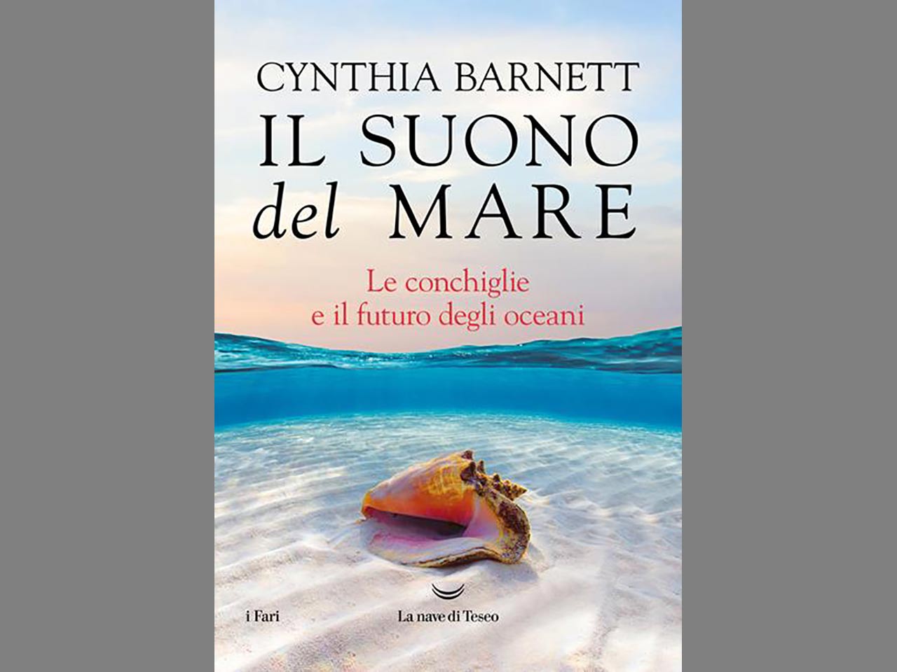 Il suono del mare. Le conchiglie e il futuro degli oceani, Cynthia Barnett - Libri imperdibili per l'estate
