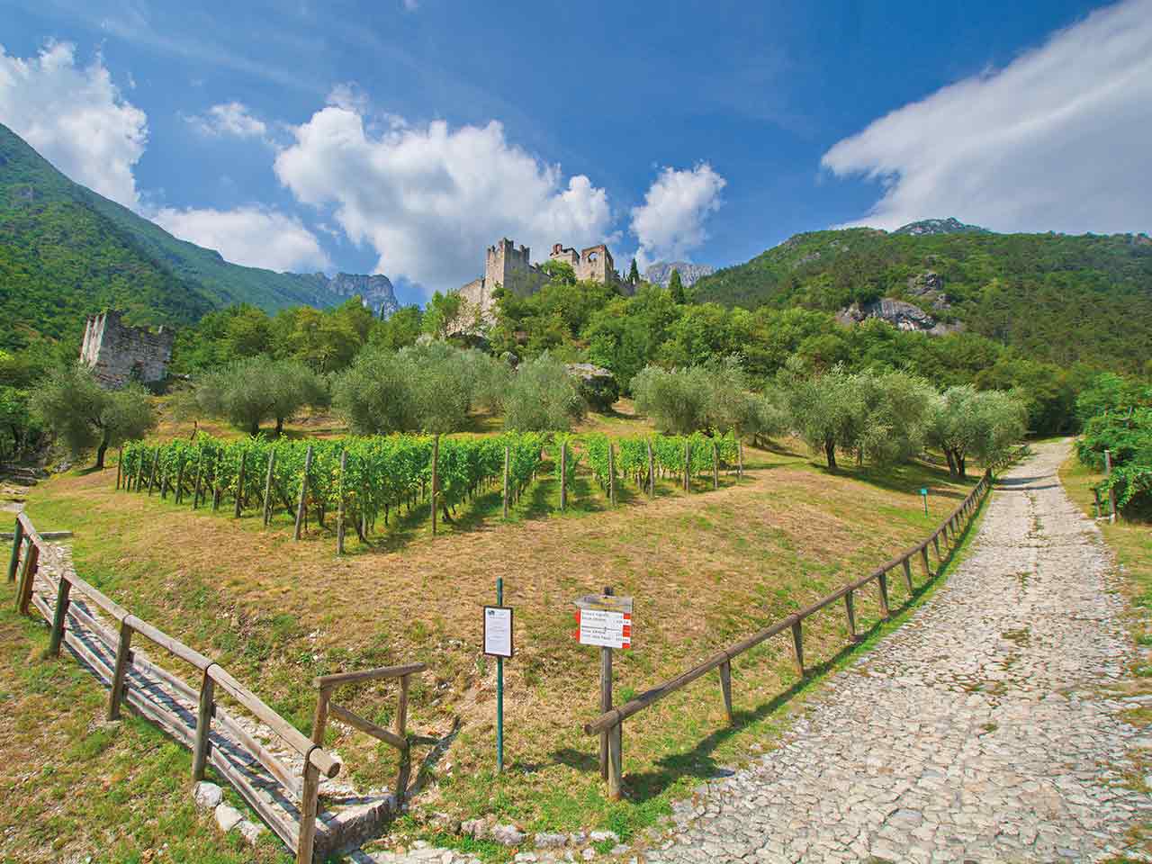 Castello di Sabbionara d'Avio - Weekend in Camper in Vallagarina
