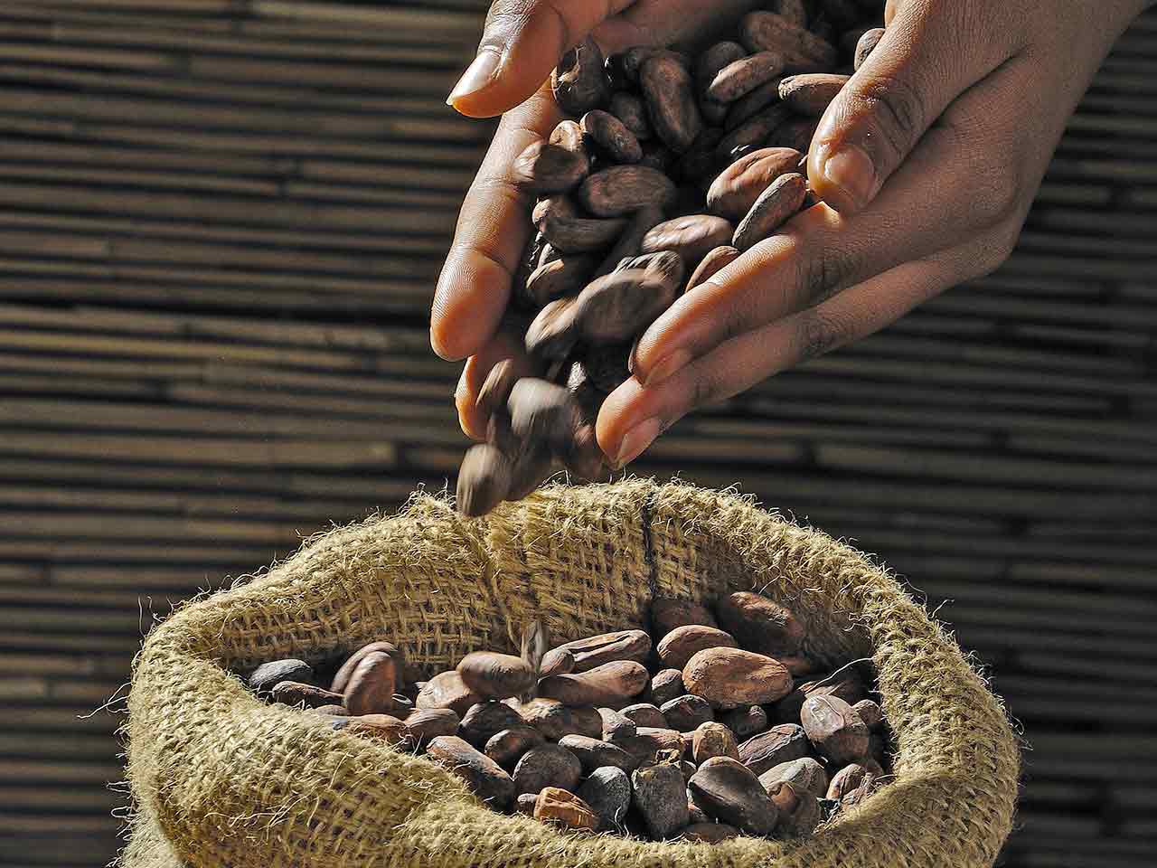fave di cacao.