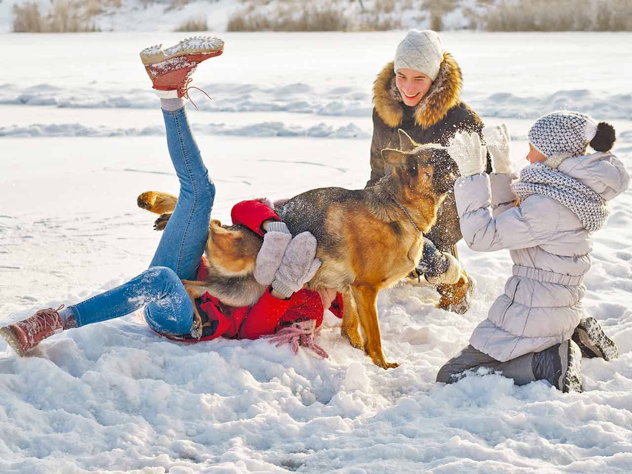 Vacanza sulla neve con i cani.