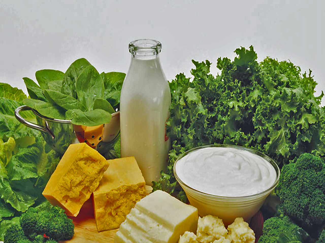 Latte, yogurt, parmigiano e broccoli: alcuni tra gli alimenti migliori per raggiungere il fabbisogno quotidiano di calcio