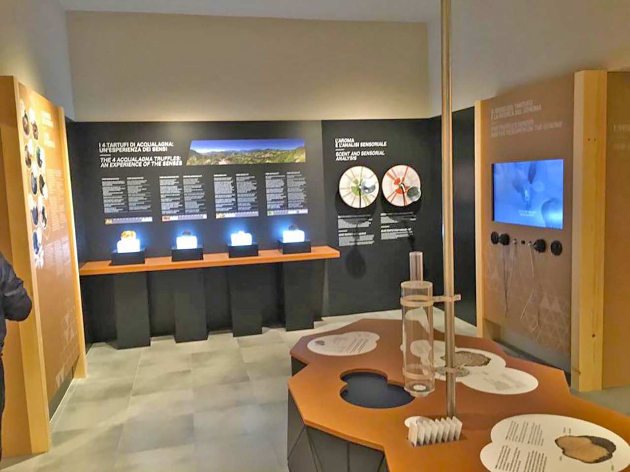 Weekend in camper nelle Marche: il Museo del Tartufo ad Acqualagna