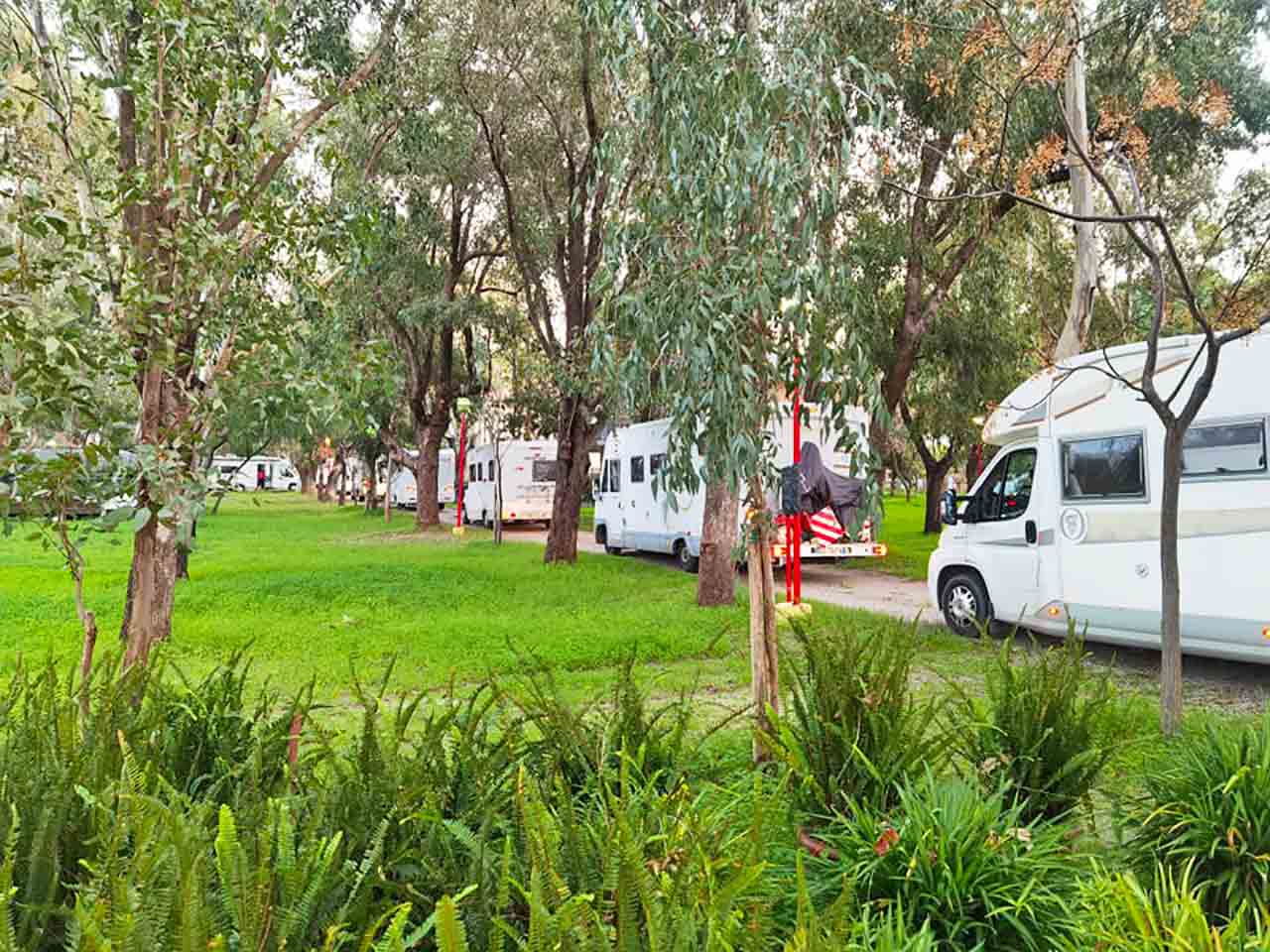 CAMPING LAROCCA. IN CALABRIA CON LO SCONTO CLUB - le piazzole del campeggio