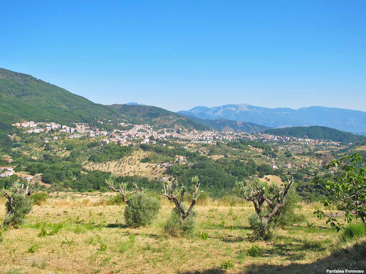 Feste e sagre di castagne e marroni - Panorama di Fagnano Castello