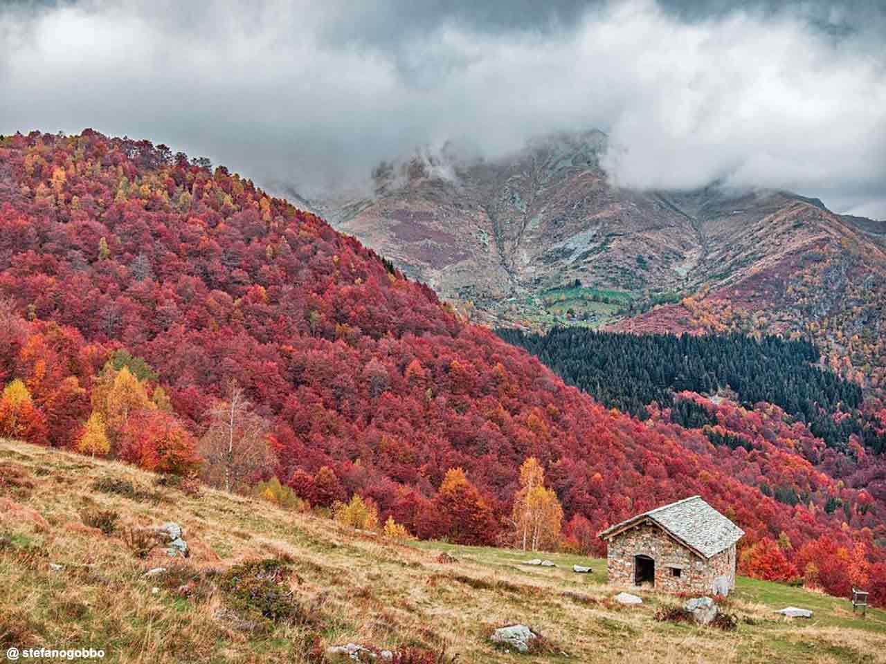 Oasi Zegna ph Stefano Gobbo - Dove vedere il foliage