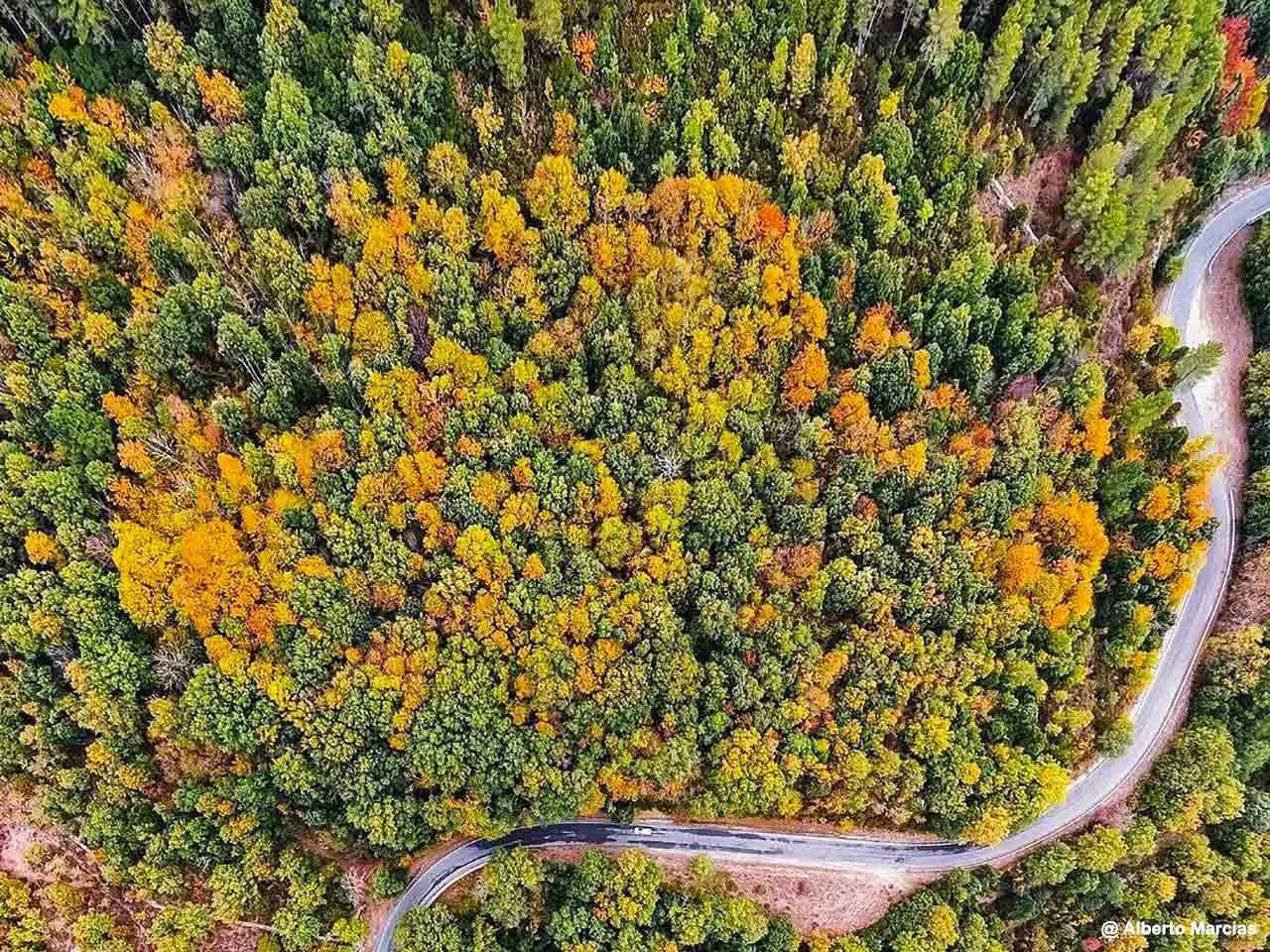 Il fall foliage ad Aritzo in Barbagia - Dove vedere il foliage