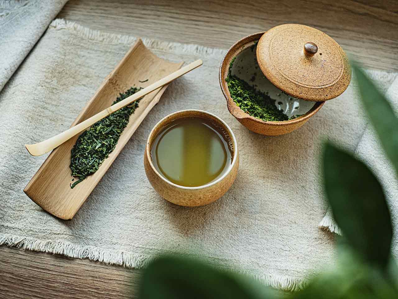 La dieta mediterranea con laggiunta di antiossidanti contenuti nel tè verde aiuta a mantenere il cervello giovane