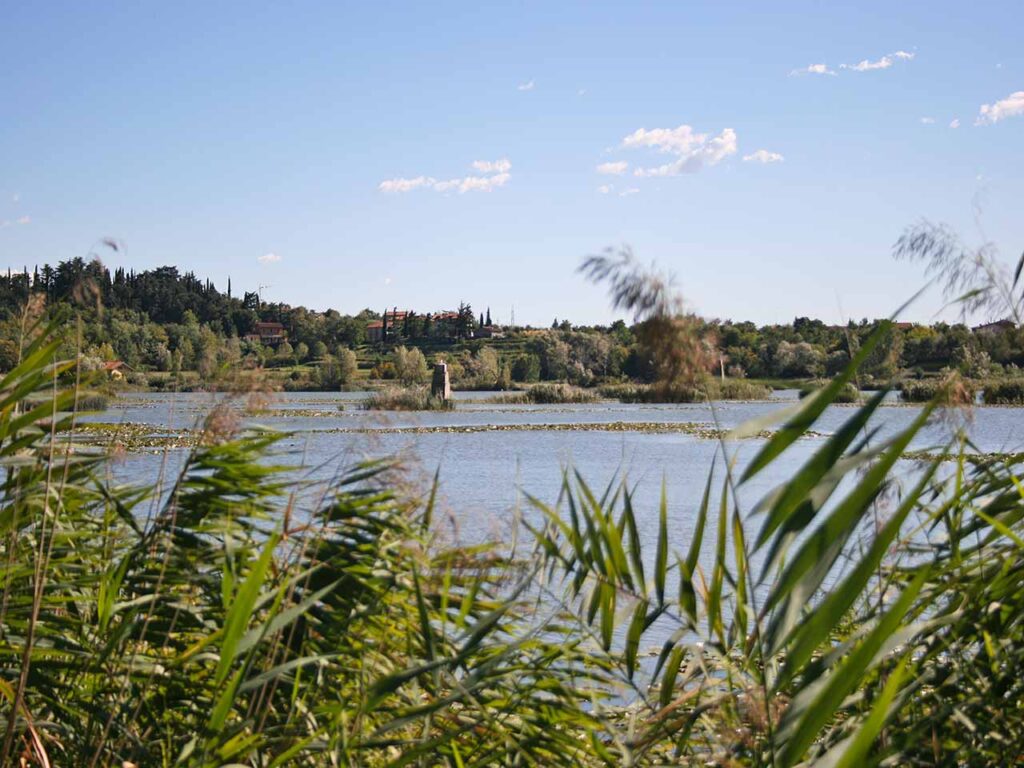 Giornata Mondiale delle zone umide: le Torbiere del Sebino nei pressi di Provaglio d'Iseo.