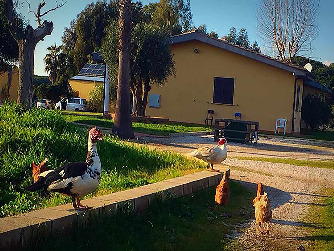 Agriturismo Valle Maggio - Convenzioni con sosta camper gratuita
