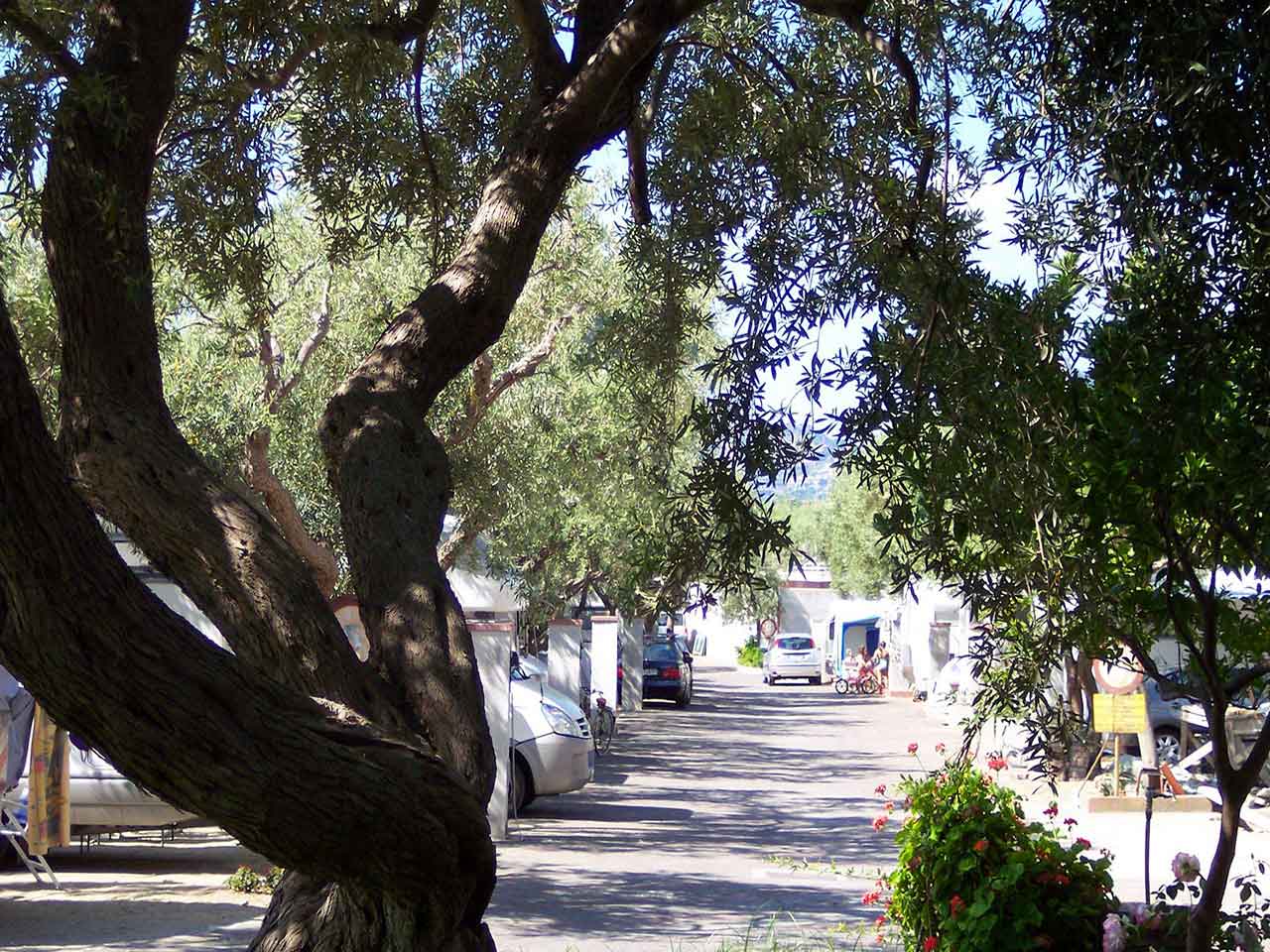 Camping Paradise a Letojanni - Sostare in camper e risparmiare nelle mete 2023.