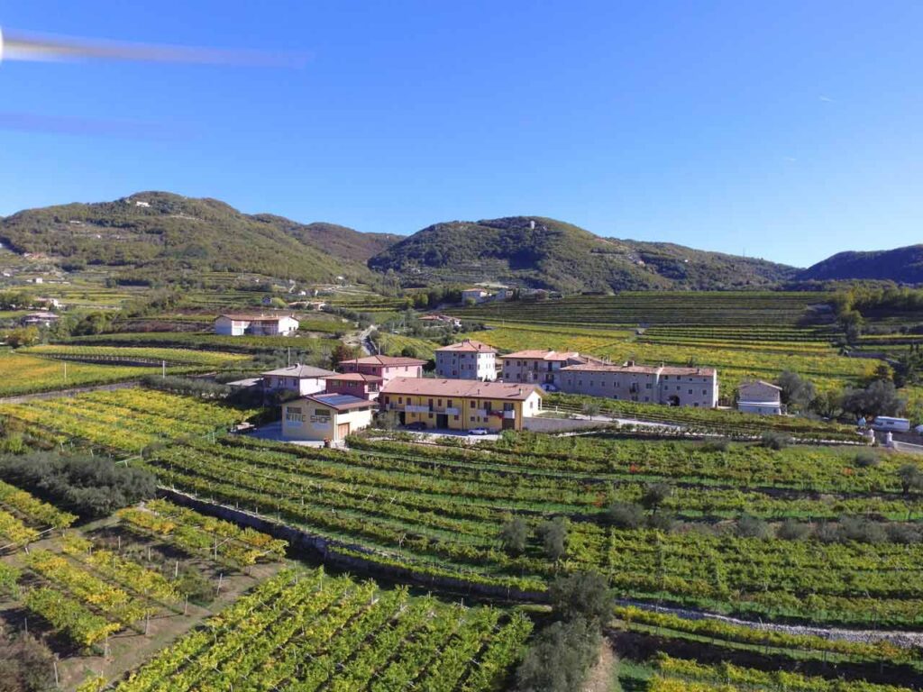 Gli sconti nelle cantine per il vino: l'Azienda Fratelli Vogadori a Negrar di Valpolicella.