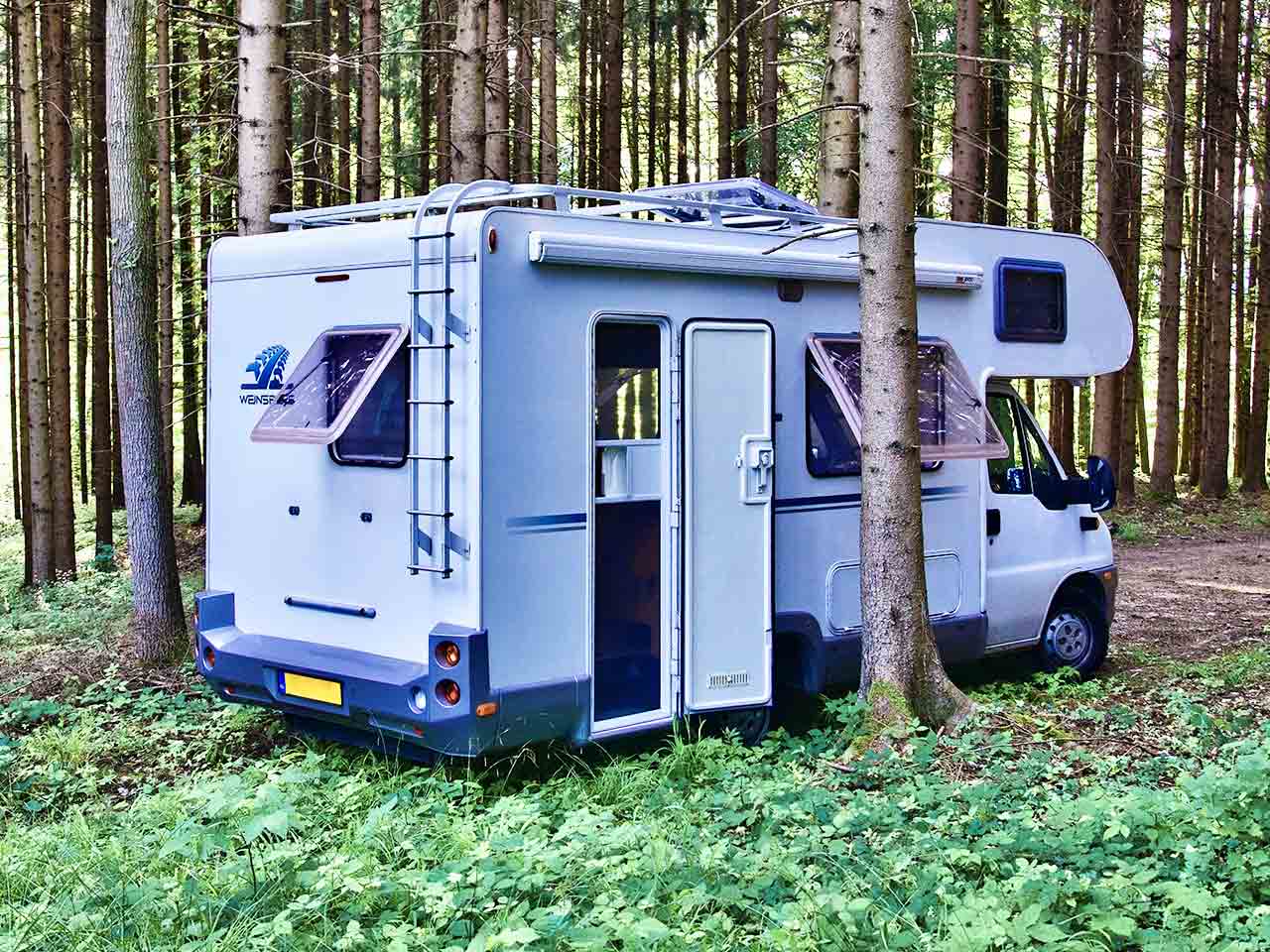 Sosta libera in un bosco