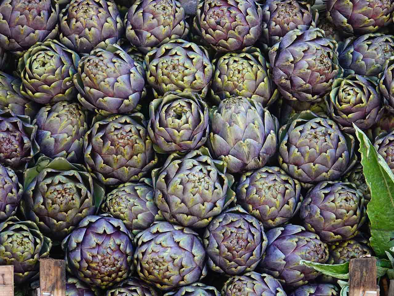 I carciofi sono gli alimenti che aiutano di più a depurare il fegato.