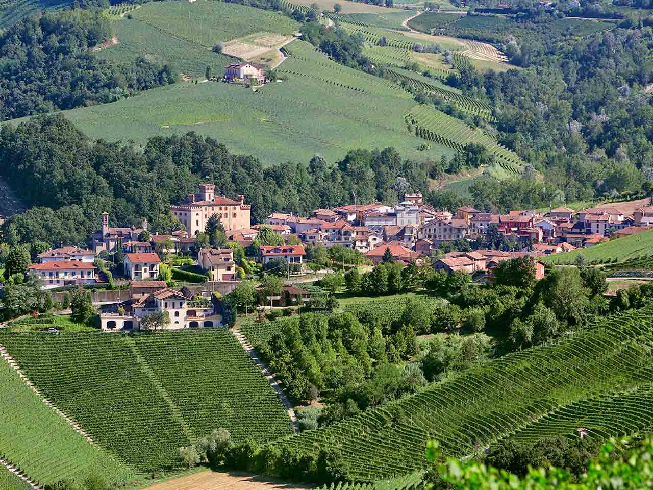 Piemonte in camper nelle Langhe: panorama di Barolo