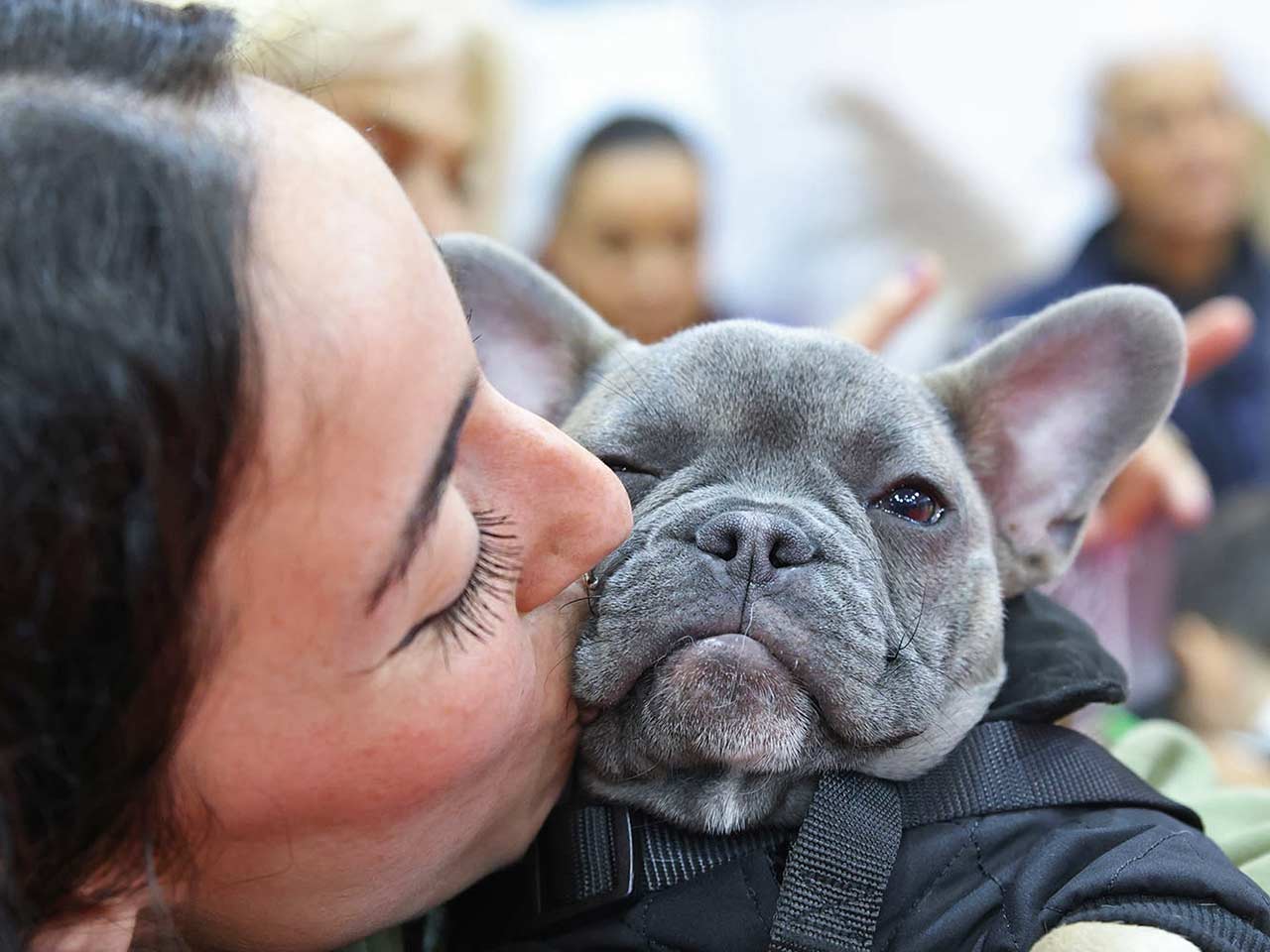 A Roma con cani e gatti per Quattrozampeinfiera.