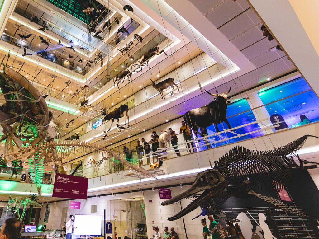 Al MUSE, il Museo delle Scienze di Trento, con lo sconto del Club.