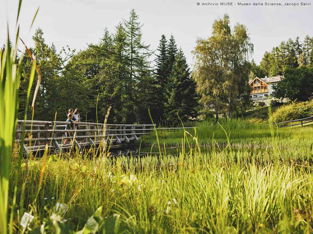 Al MUSE con lo sconto del Club - Il Giardino Botanico Alpino