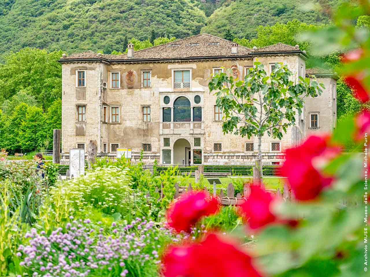 Al MUSE con lo sconto del Club - Il Palazzo delle Albere