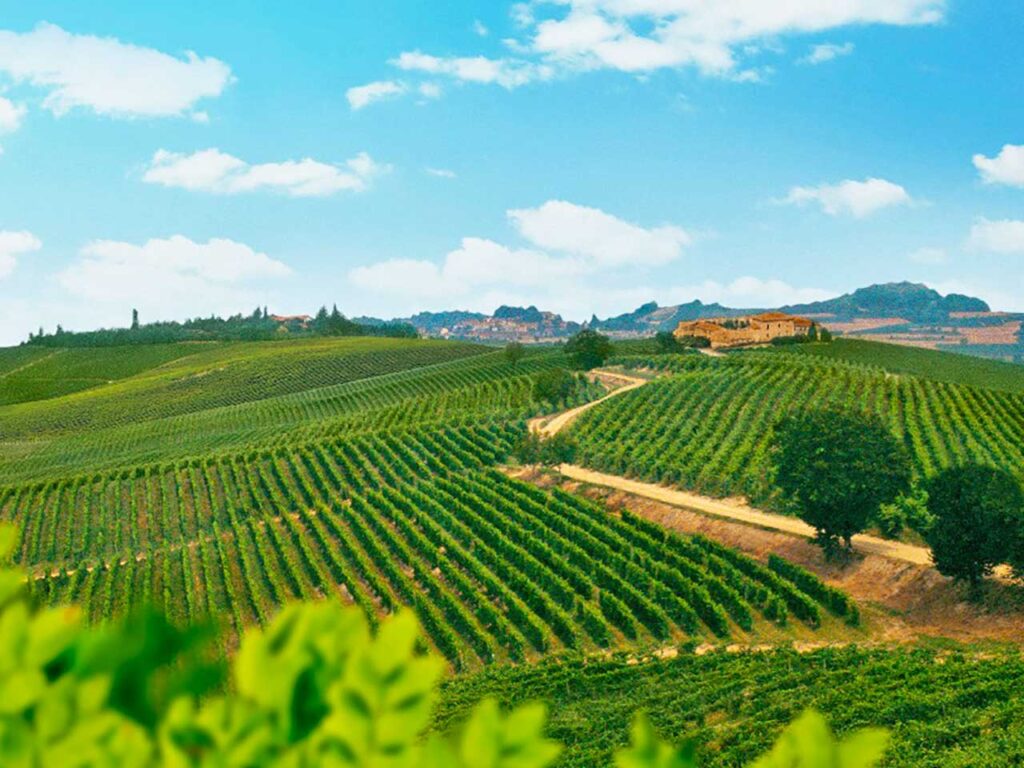 Gli sconti delle cantine per il vino: il Castello del Poggio a Portocomaro d'Asti (AT).