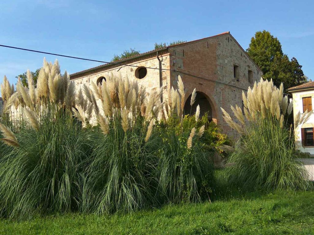 Gli sconti nelle cantine per il vino: l'Azienda Agricola Salvan a Due Carrare (PD).