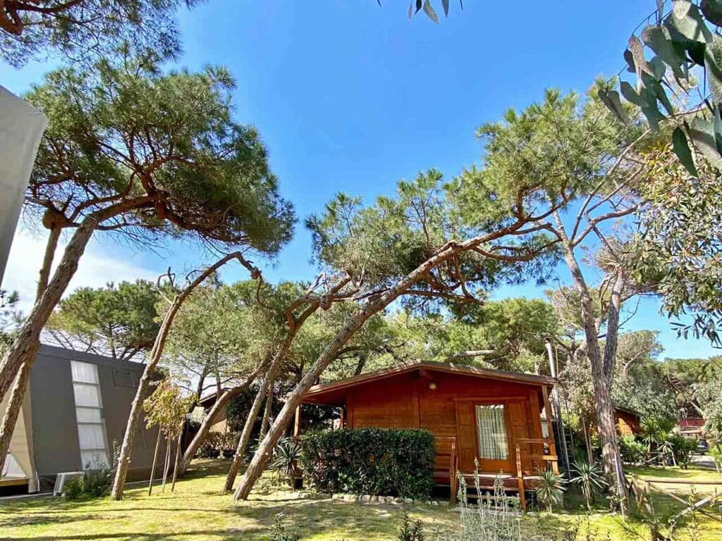 Promo campeggi a Roma e nel Lazio in occasione del Giubileo: il Camping Pionier Etrusco a Montalto di Castro.