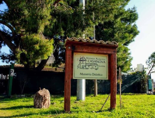 AZIENDA AGRICOLA CASANOVA