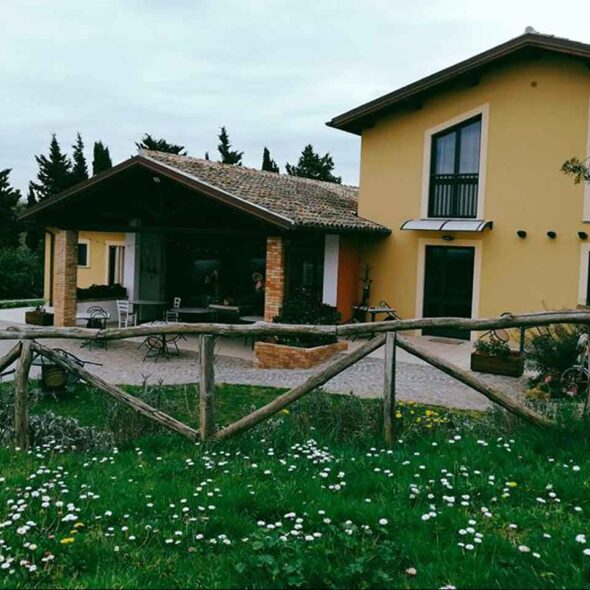 Erba regina