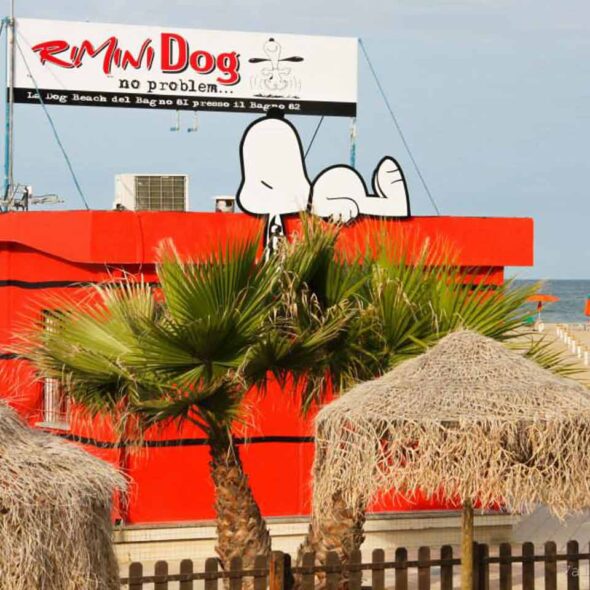 Bagno 81 rimini dog no problem
