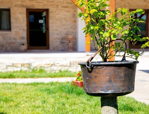AGRITURISMO FONTEMAZZOCCA